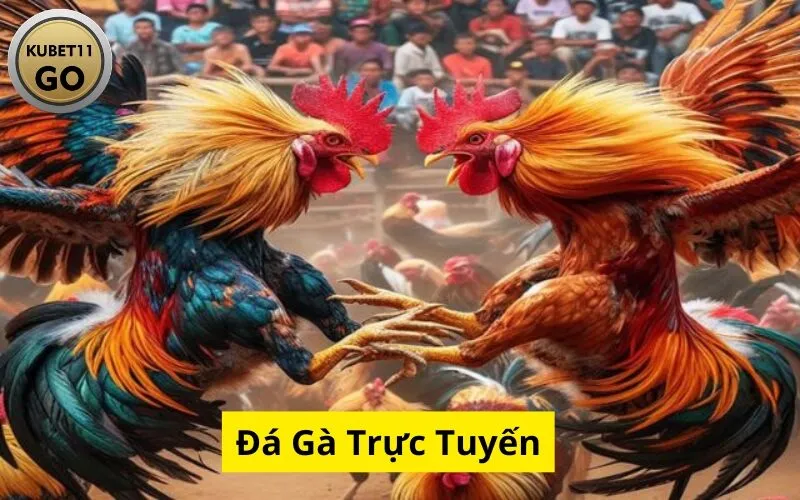 Đá Gà Trực Tuyến