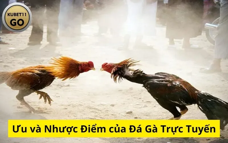 Ưu và Nhược Điểm của Đá Gà Trực Tuyến