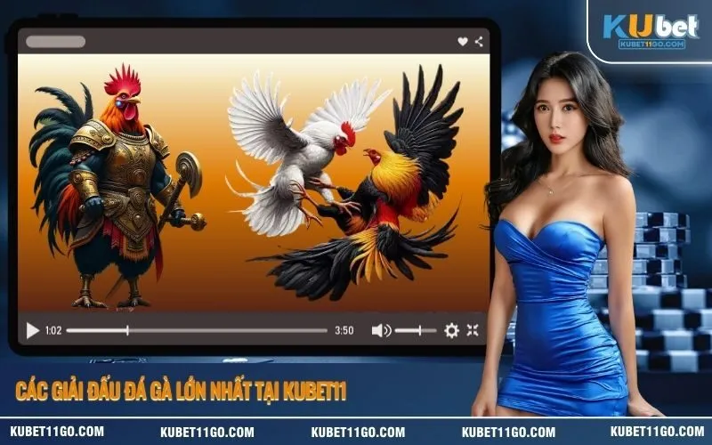 Các Giải Đấu Đá Gà Lớn Nhất Tại Kubet11