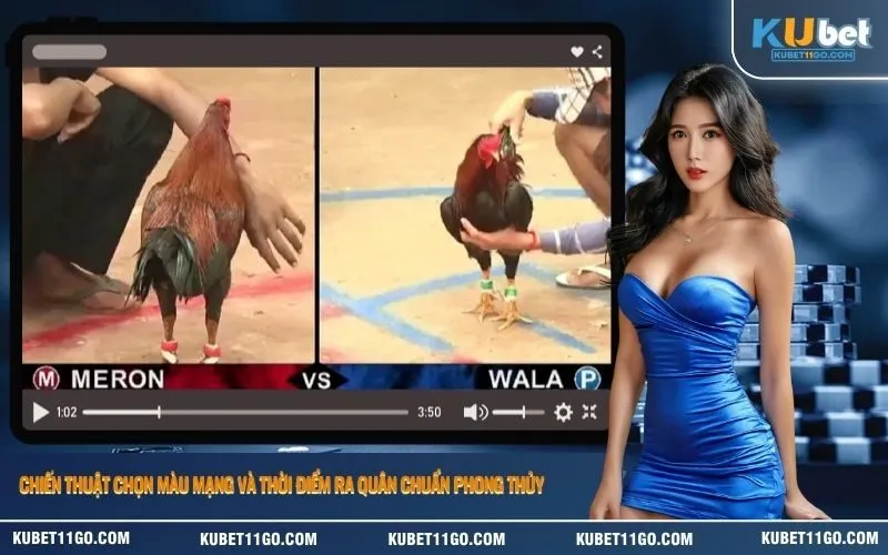 Chiến thuật chọn màu mạng và thời điểm ra quân chuẩn phong thủy