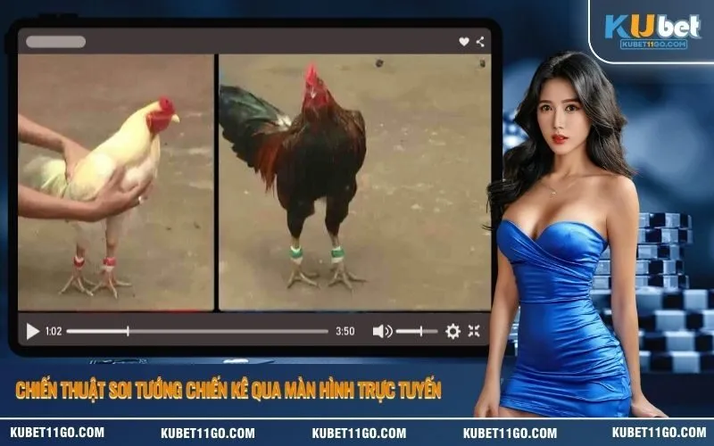 Chiến thuật soi tướng chiến kê qua màn hình trực tuyến