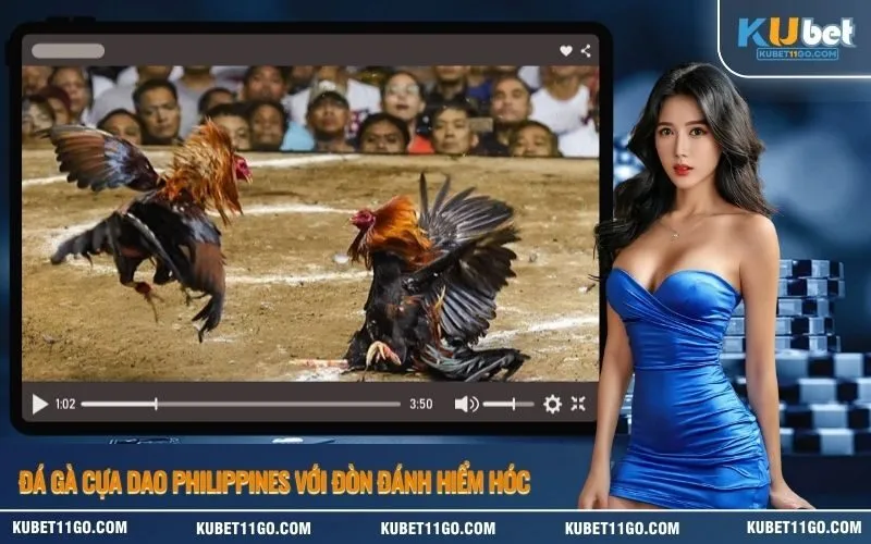 Đá gà cựa dao Philippines với đòn đánh hiểm hóc