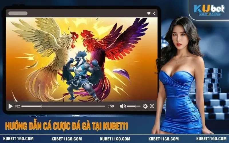Hướng Dẫn Cá Cược Đá Gà Tại Kubet11