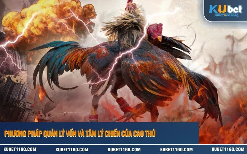 Phương pháp quản lý vốn và tâm lý chiến của cao thủ