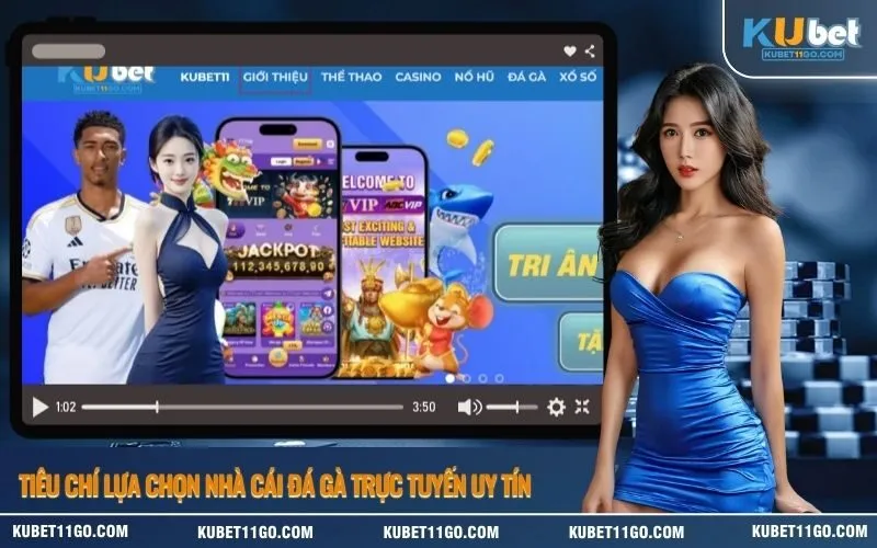 Tiêu chí lựa chọn nhà cái đá gà trực tuyến uy tín