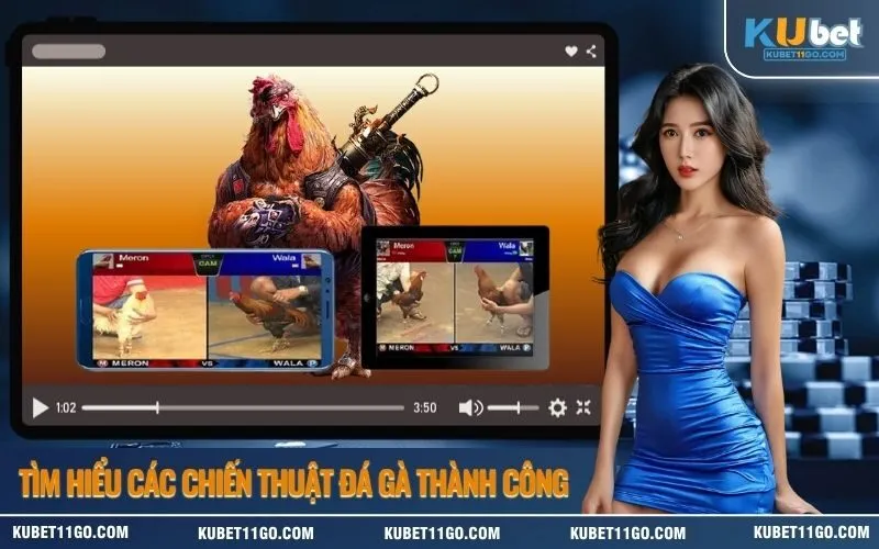 Tìm Hiểu Các Chiến Thuật Đá Gà Thành Công